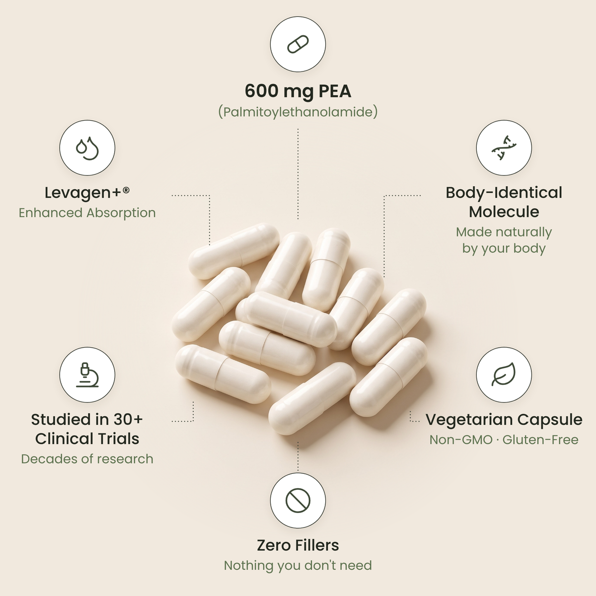 Single ingredient: Levagen+ palmitoylethanolamide (PEA) 600 mg per serving